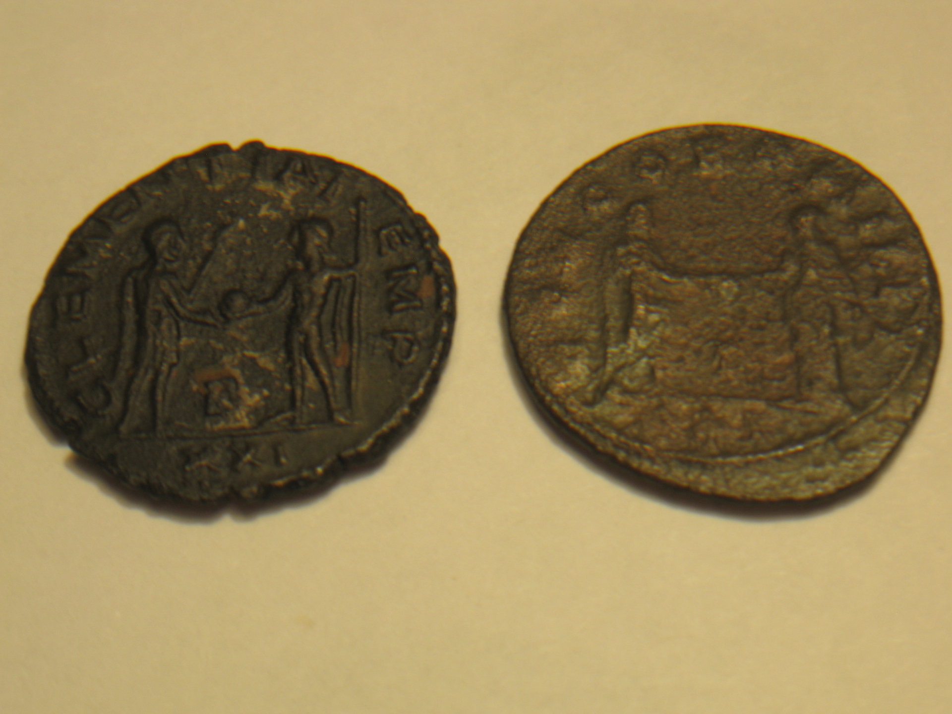 Probus coins groundhog 003.JPG