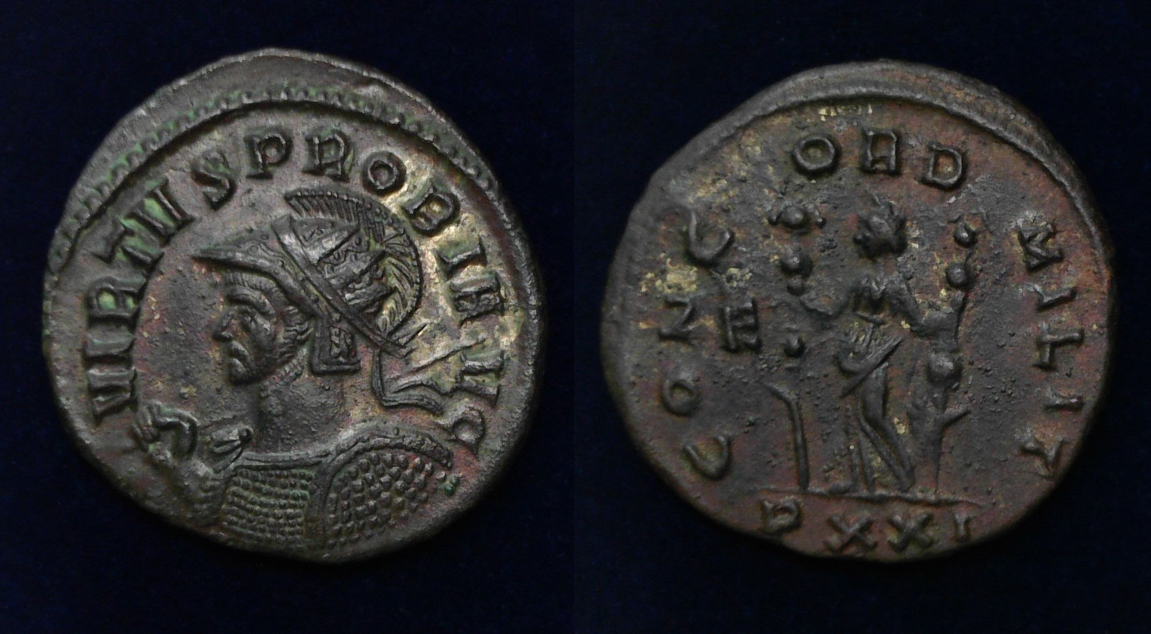 Probus Concord Ticinium.jpg