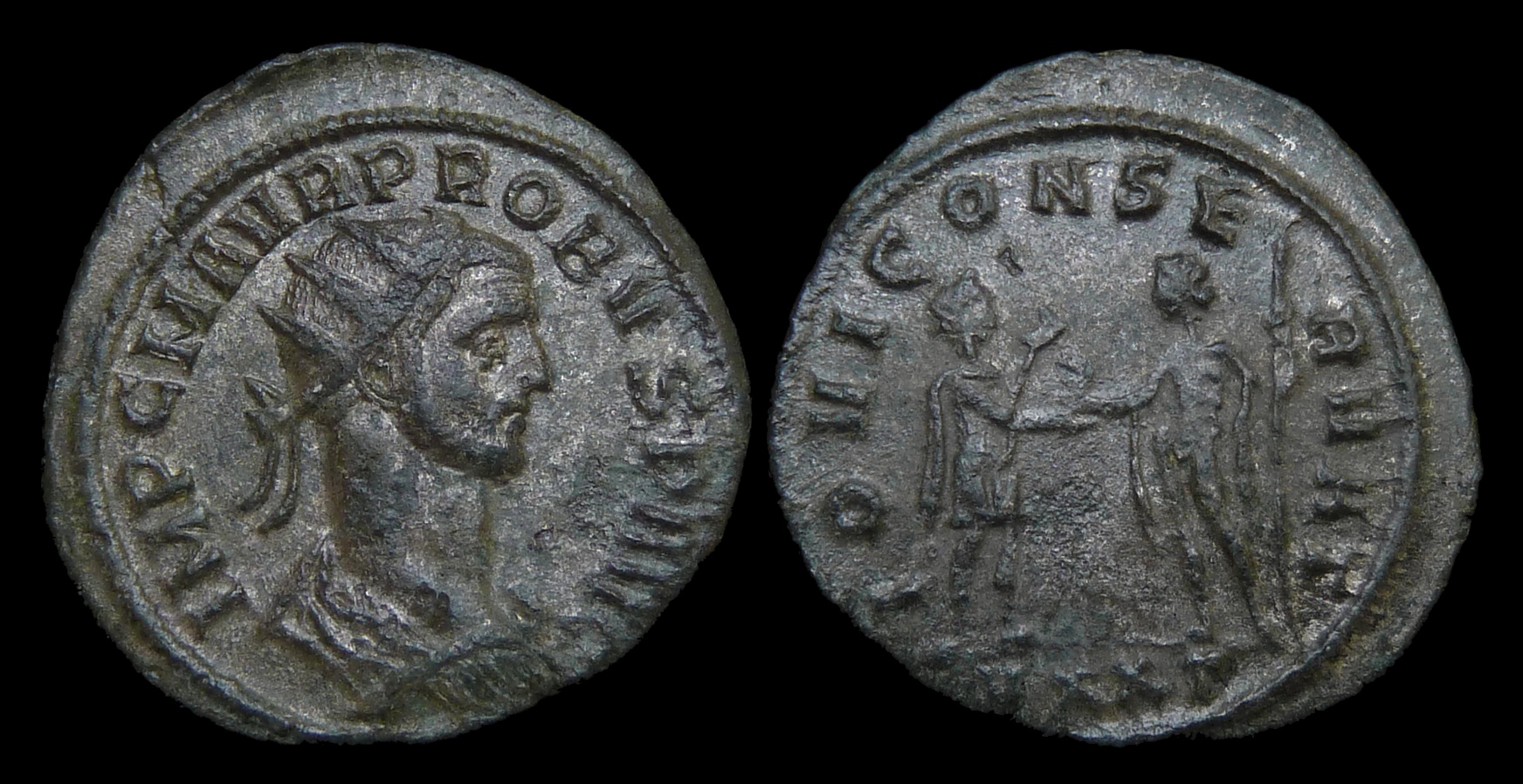 Probus - ex Gysen ex Orfew Iovi 3957.jpg