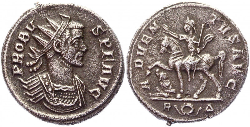 probus fake 2.jpg