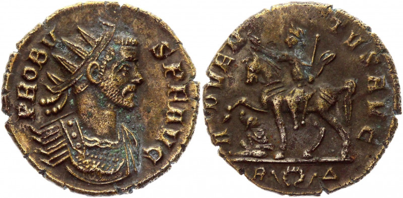 probus fake 3.jpg