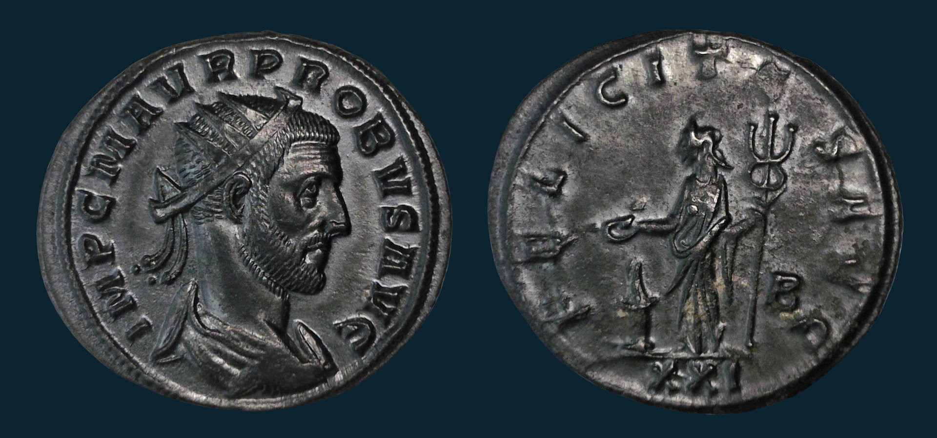 Probus Felicitas Blu.jpg