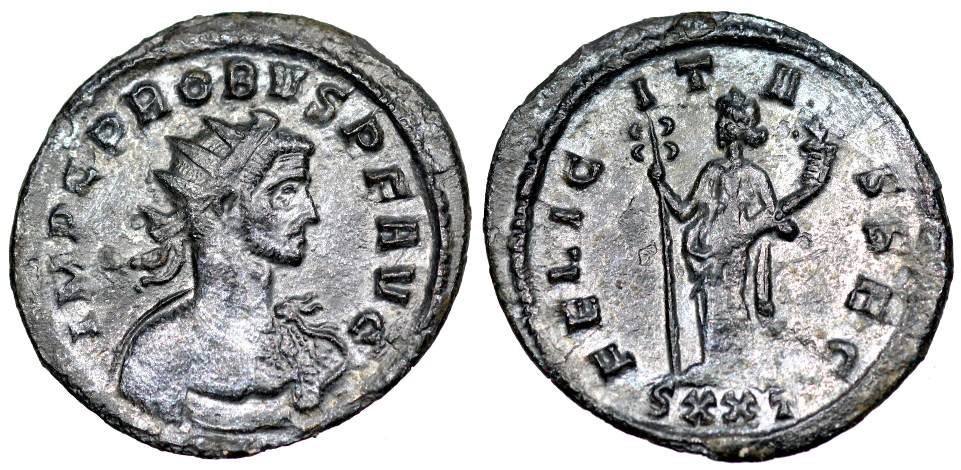 Probus.JPG