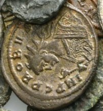 Probus.jpg
