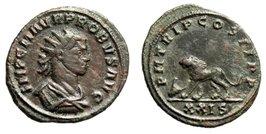 Probus lion.jpg