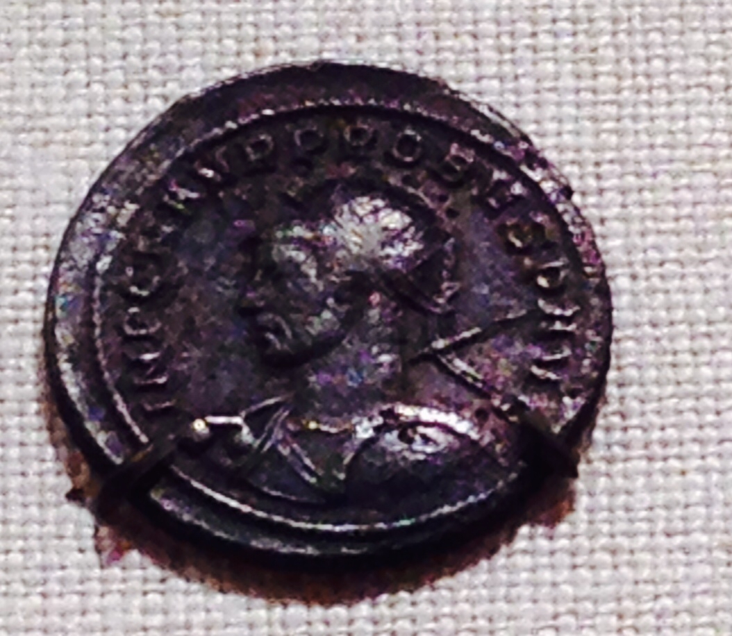 Probus New Image.JPG