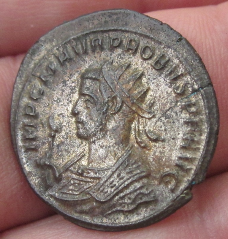 Probus Obv 1.jpg