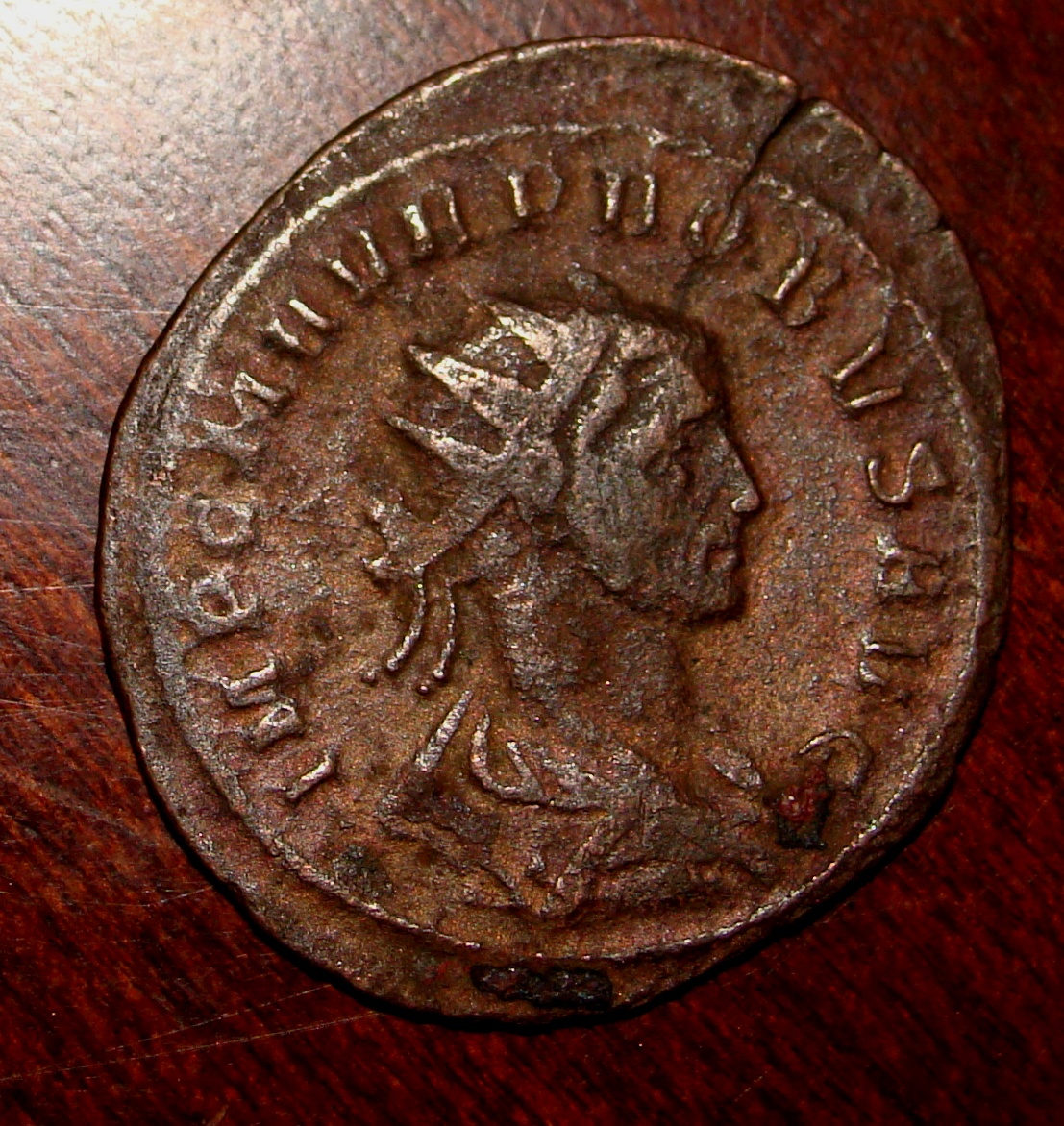 Probus OBV (2).JPG