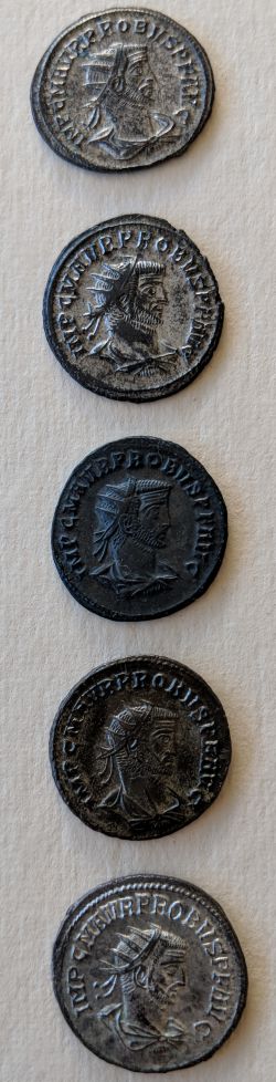 Probus obverse.jpg