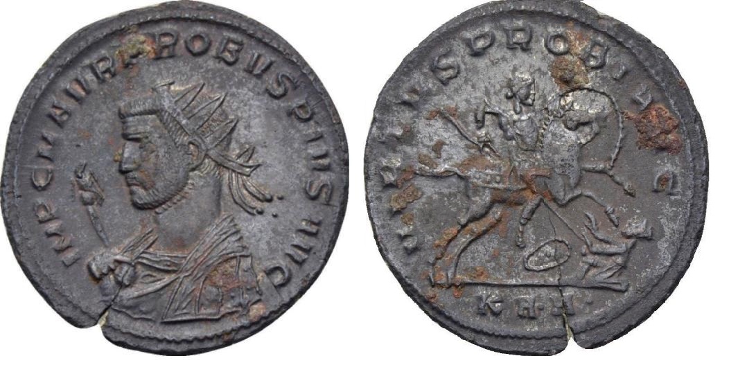 probus pius.JPG