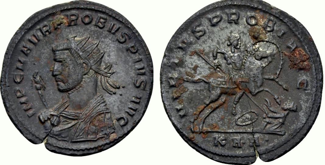 probus pius.JPG