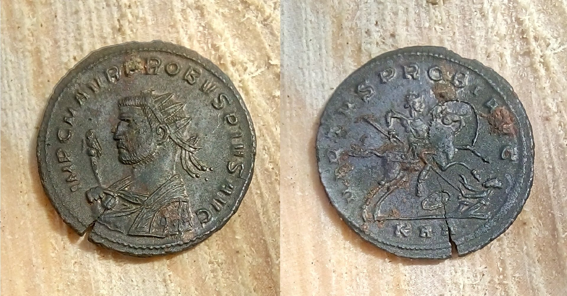 probus pius1.jpg