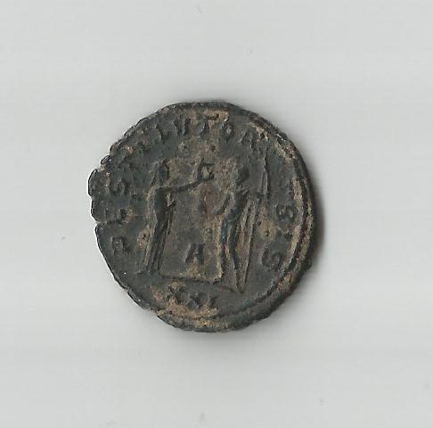 Probus R.jpg