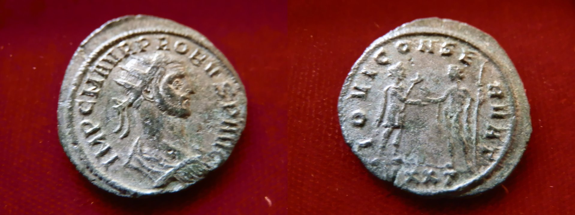 Probus RIC 390 new.jpg