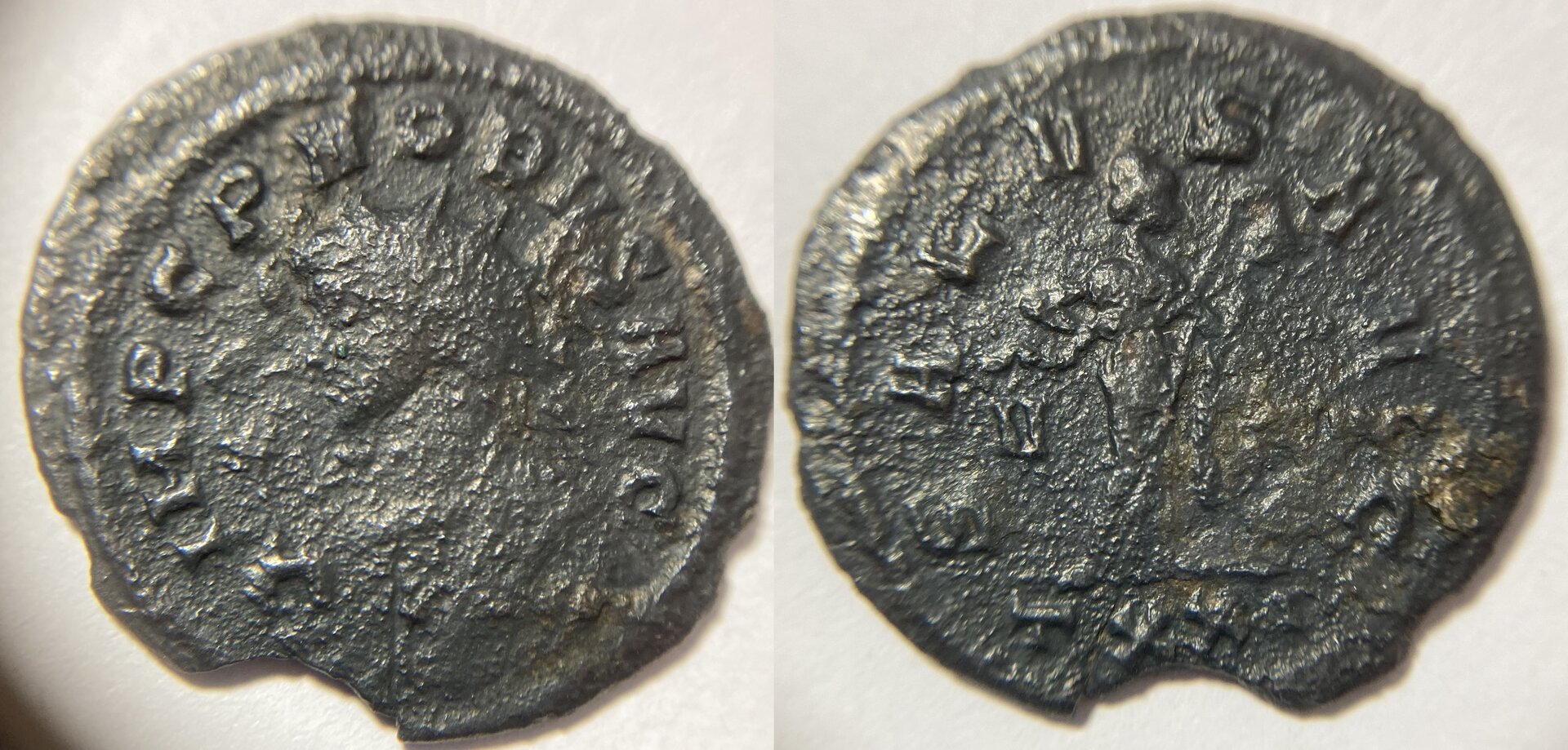 Probus RIC 499.JPG
