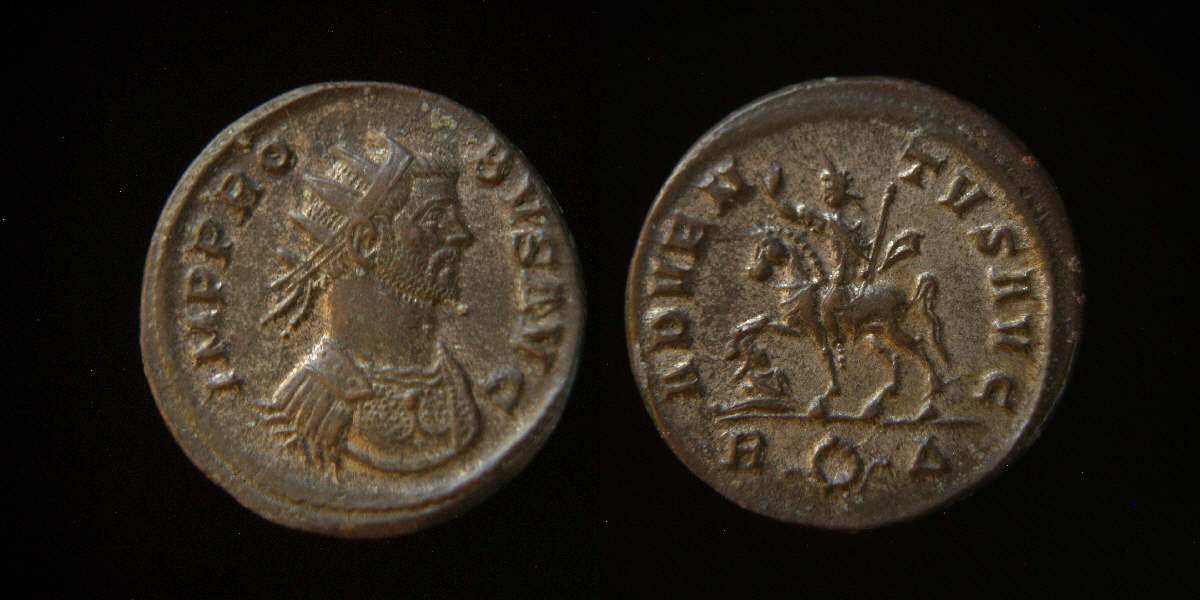 Probus Rome.JPG