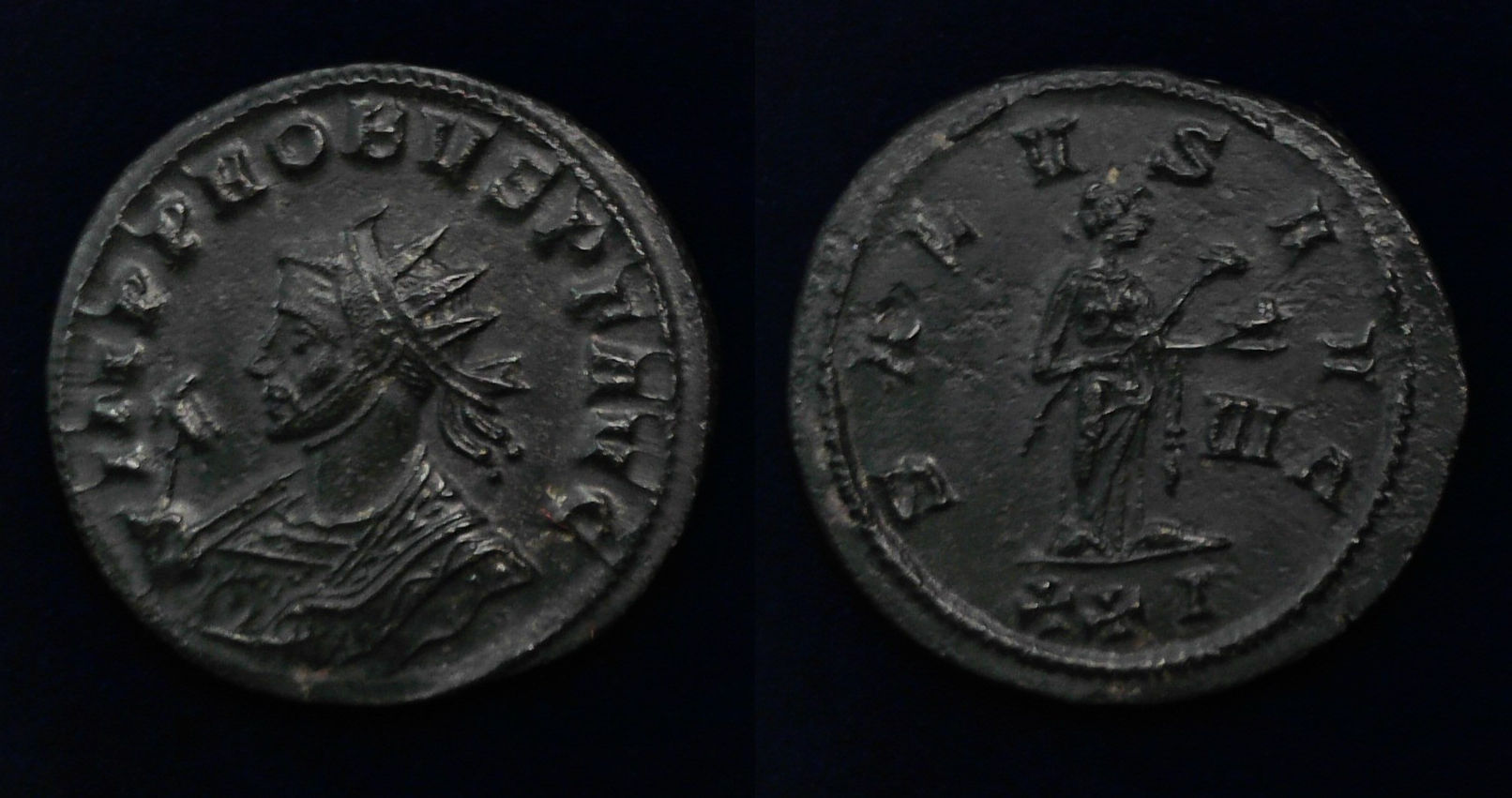 Probus Salus.jpg