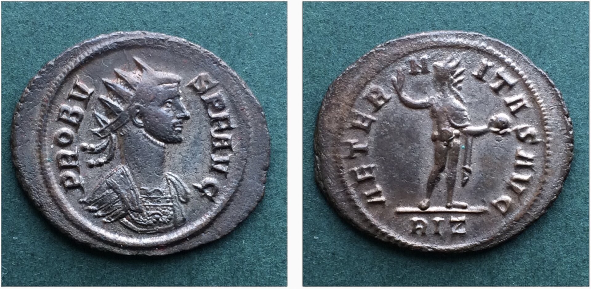 probus sol.jpg