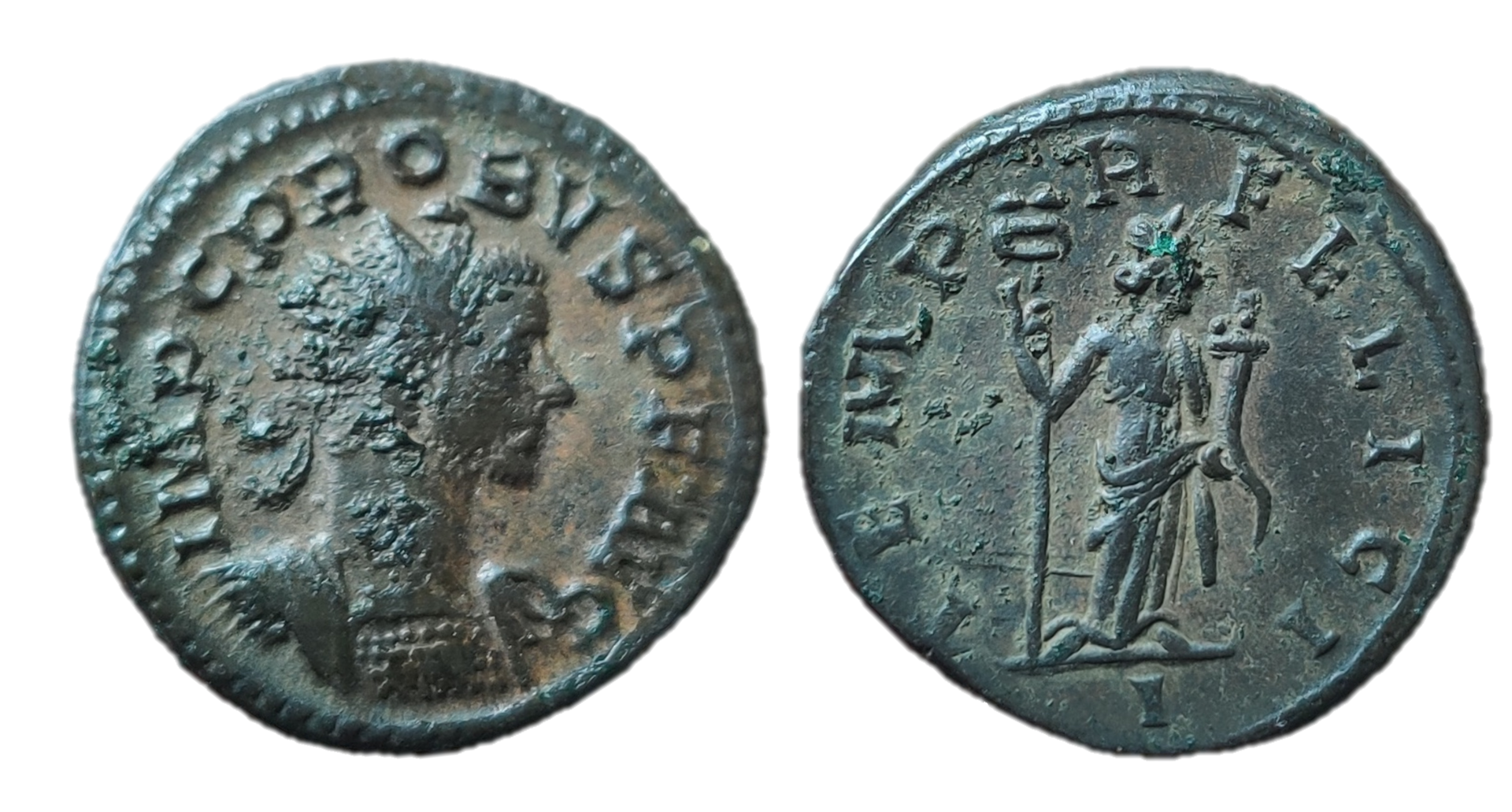 probus tempr felici.png