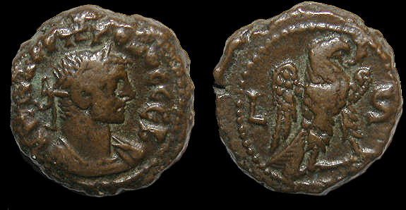 probus-tet.jpg