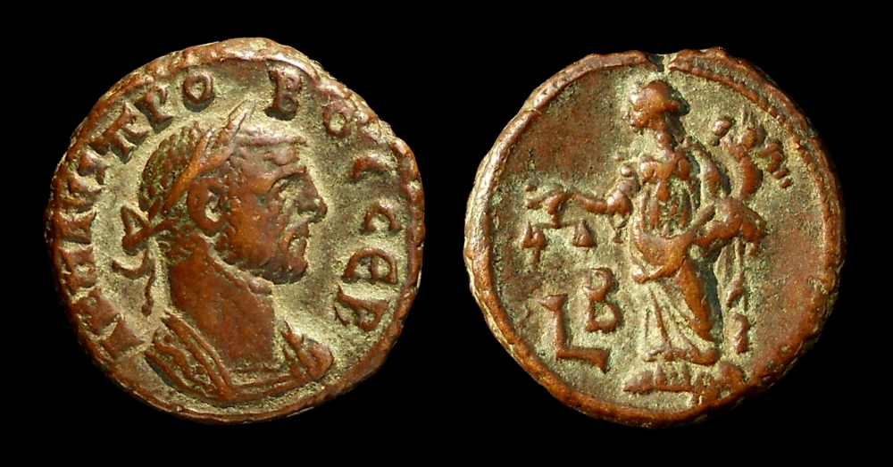 probus tet.jpg