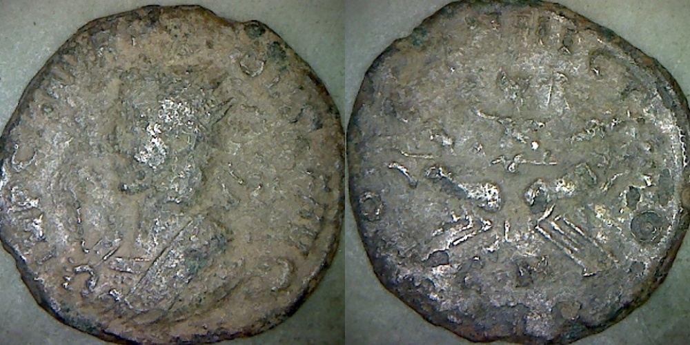 Probus with silver.jpg