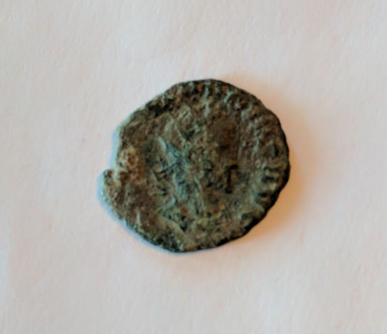 probus1.jpg