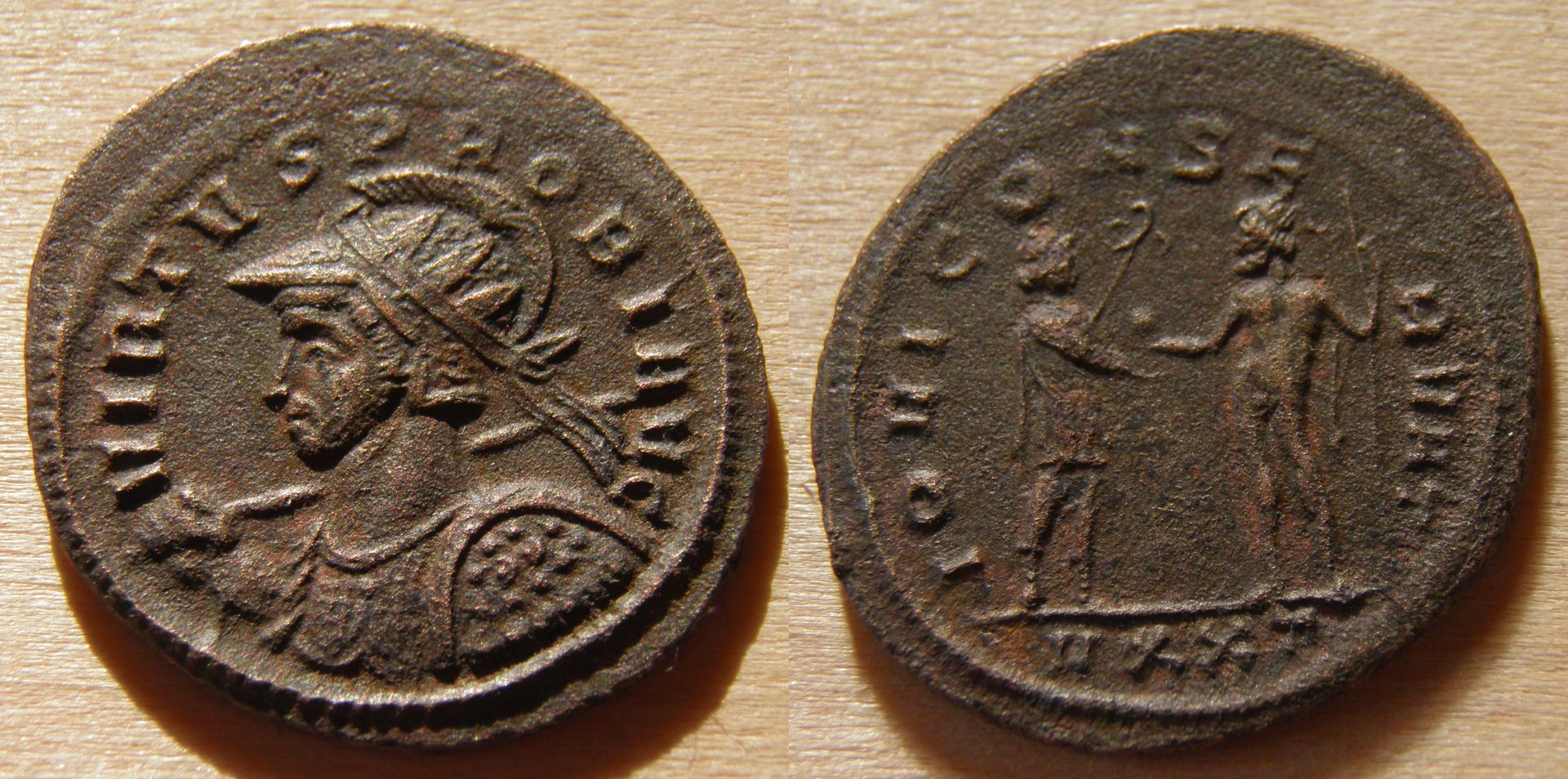 probus23-v2.jpg