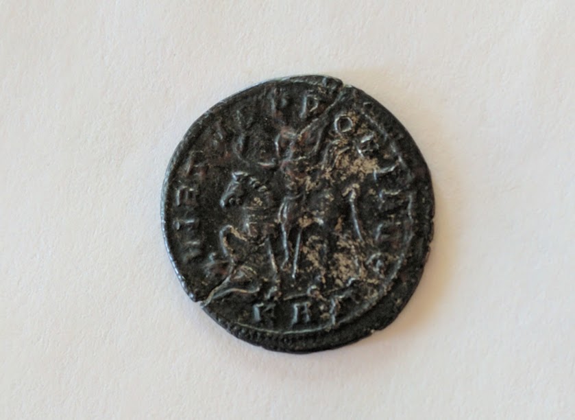 probus4.jpg