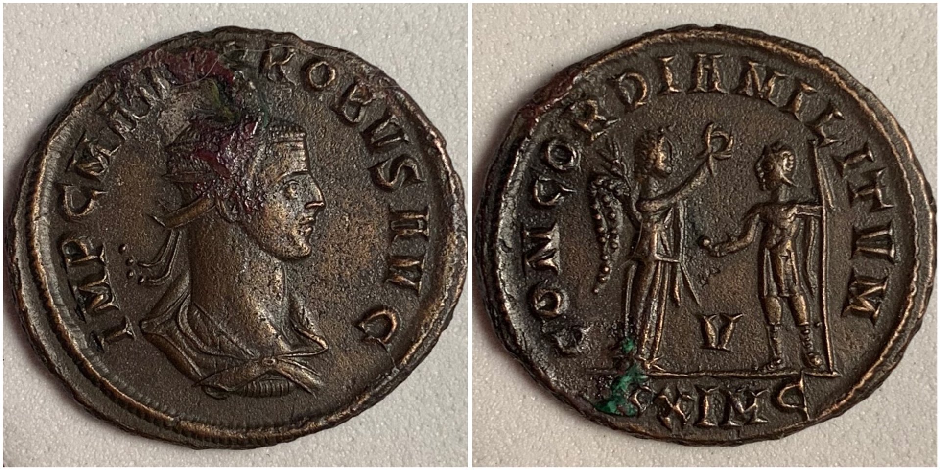ProbusCyzicusRIC908.JPG