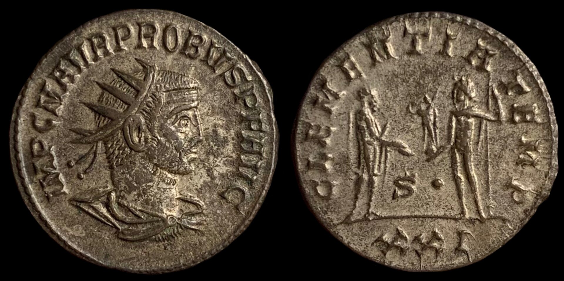 ProbusOrientalMintRICV-2-922.JPG