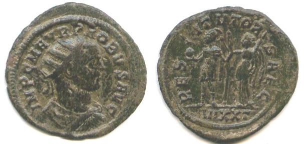 ProbusRESTITVTORSAEC0875.jpg