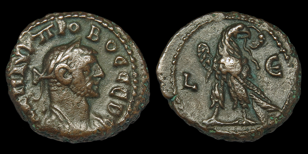 ProbusTet-Eagle-E3984-5-R1.jpg
