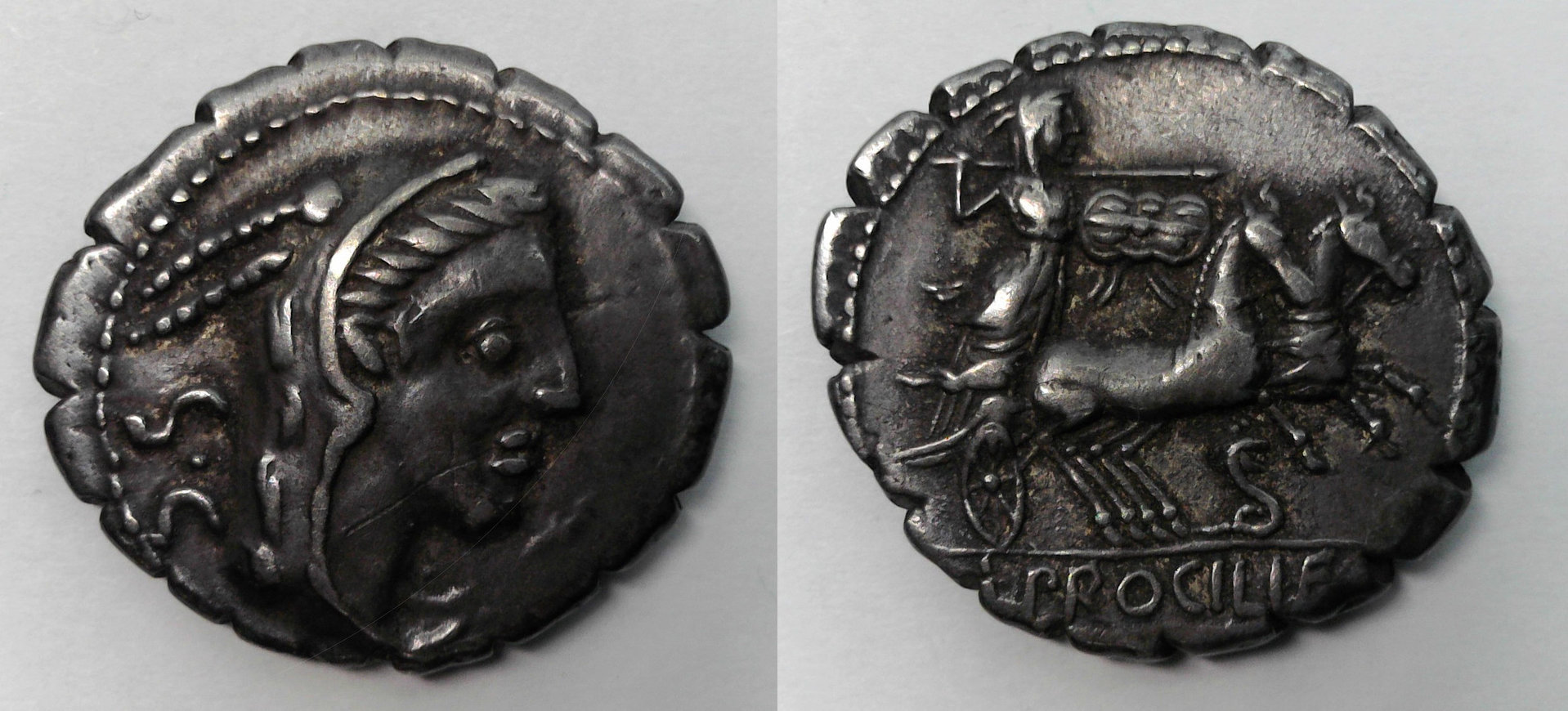 Procilia Denarius.jpg