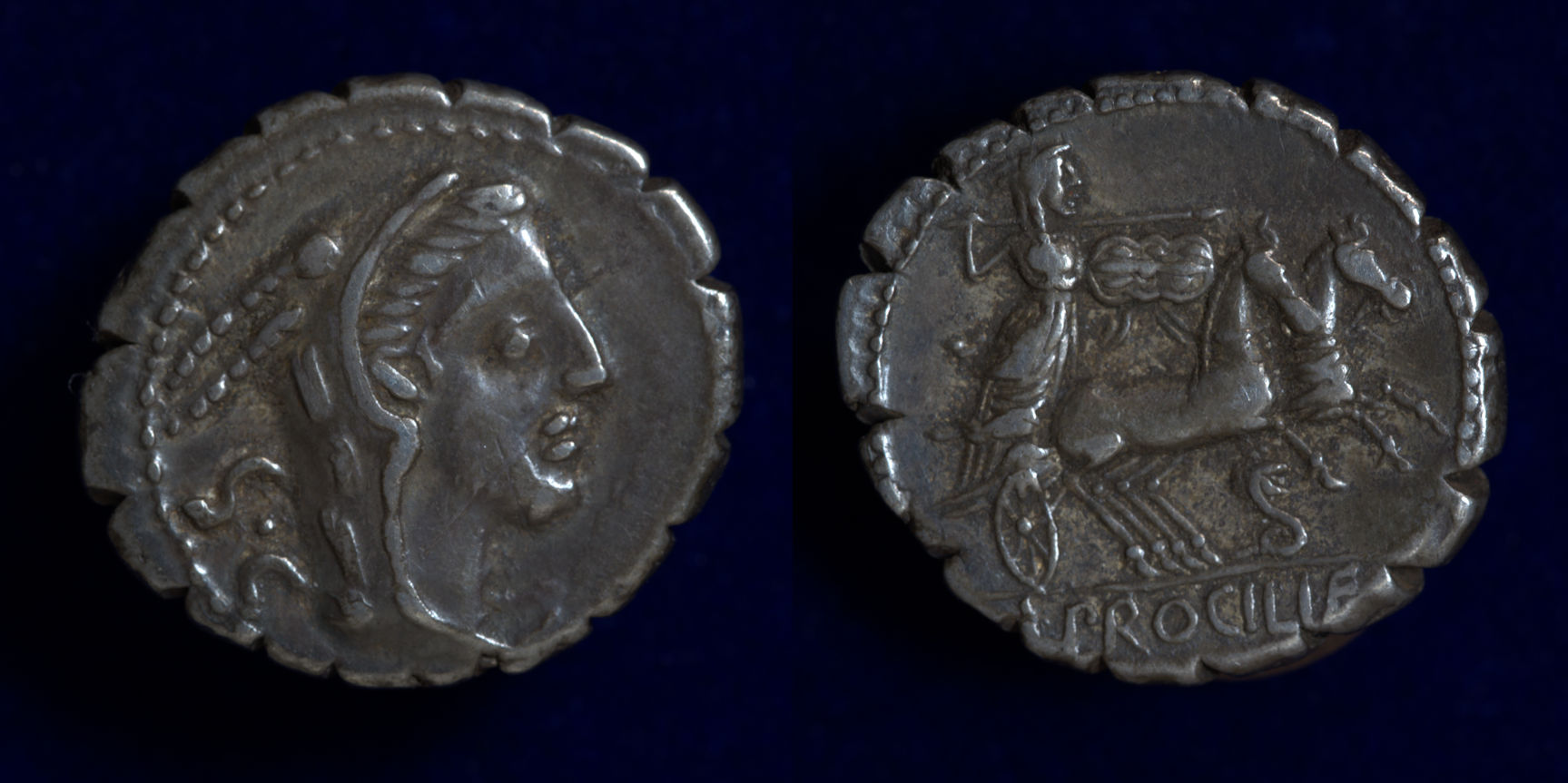 Procilius denarius.jpg