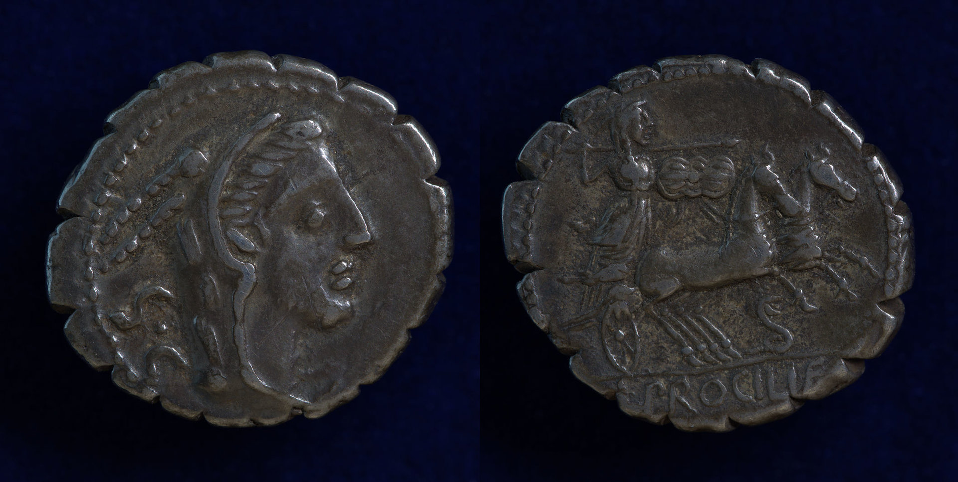 Procilius denarius.jpg