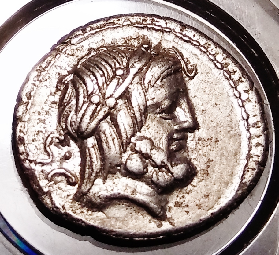 Procilius - new Obv (Jupiter) 2.jpg