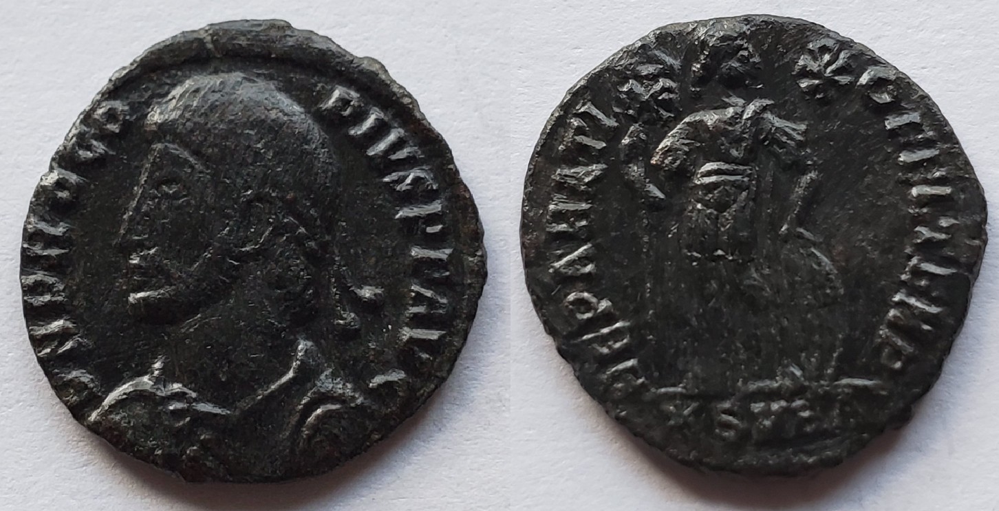 Procopius follis.jpg
