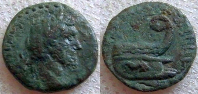 prow.jpg