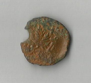 Prut  GrapeLeaf Is  Henden 1363.jpg