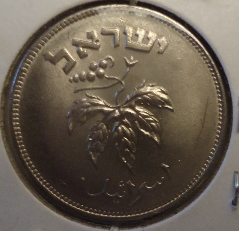 pruta_1954c.jpg