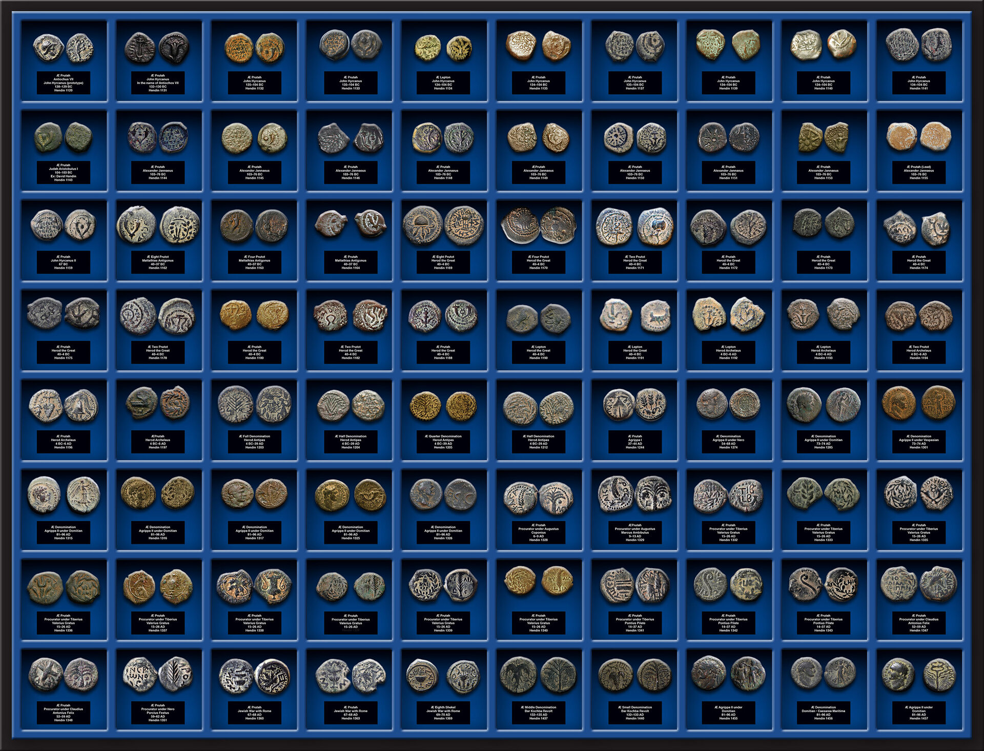 PRUTOT_TRAY.jpg