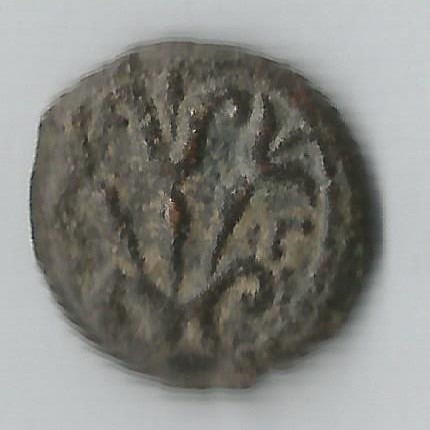 PrutVlGratus  julia lilly.jpg
