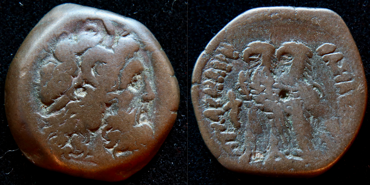 Ptolemäer – Ptolemaios VI, AE diobol, Füllhorn, Svoronos 1426..png