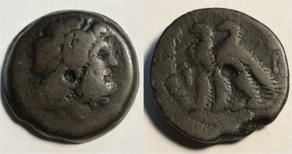Ptolemaic Kingdom Ptolemy VI AE20.jpg