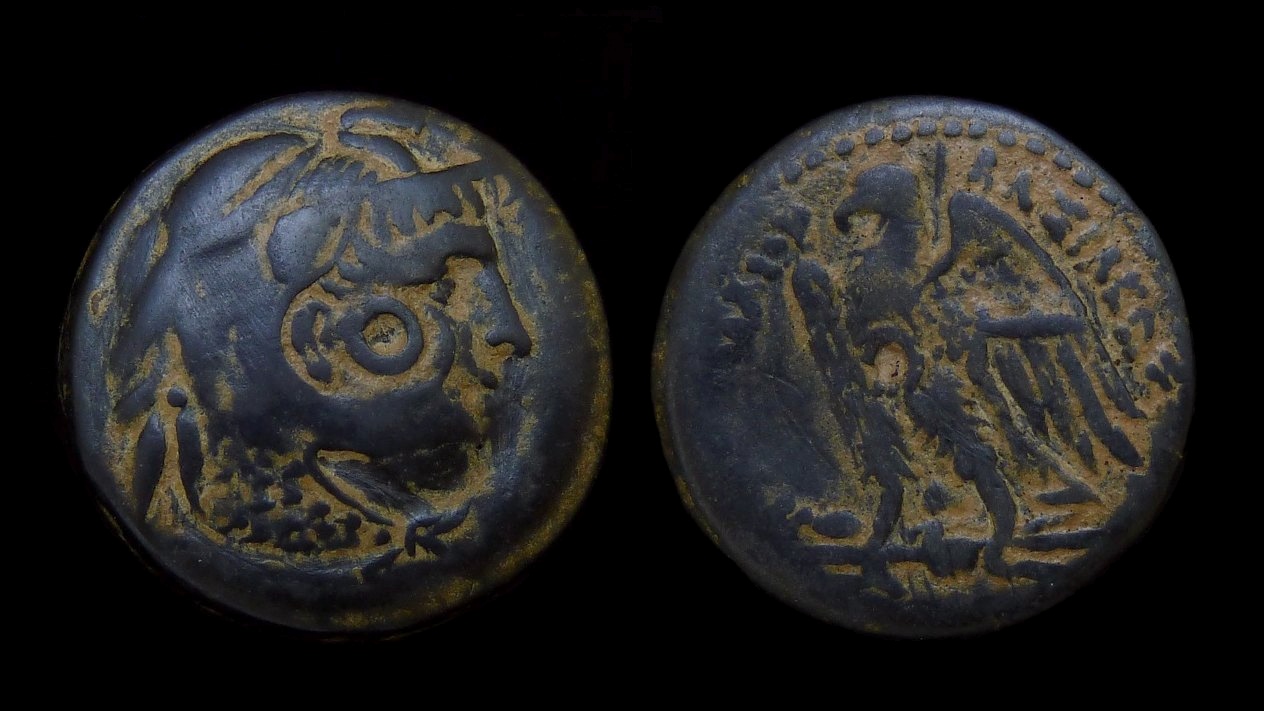 PTOLEMAIC Ptolemy II - AE23 Alexander Eagle 1240.jpg