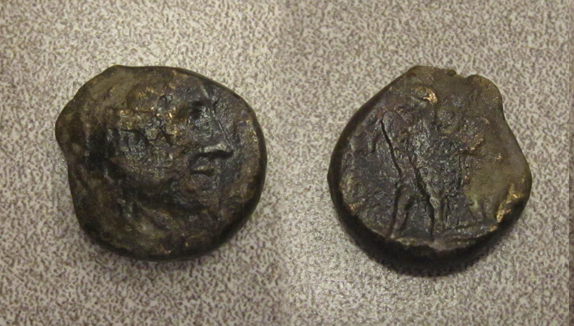 Ptolemy Bronze Collage 1.jpg