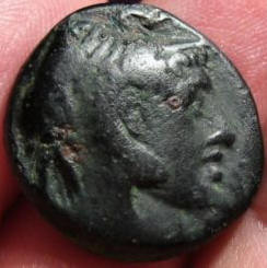 Ptolemy I Elephant man a.jpg