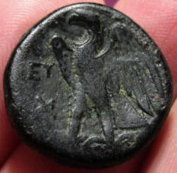 Ptolemy I Elephant man b.jpg