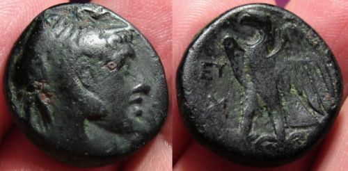 Ptolemy I Elephant man.JPG